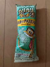 赤城 ガリガリ君リッチ革新のチョコミント100ml