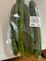 イシグチ きゅうり