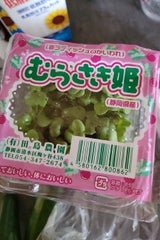 第一包装 かいわれ 1P