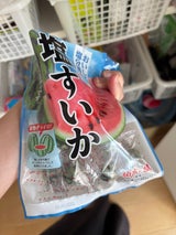 宮川製菓 塩すいか飴 63g