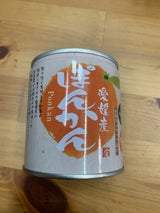 愛工房 愛媛産ぽんかん 5号缶 295g