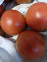 JA岡山 とまと 桃太郎トマト 小箱 岡山