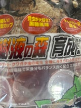 フジコン ワイドカップ 樹液の森 育成 50個