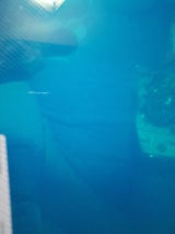 協和紙工 カラーバインダー A5