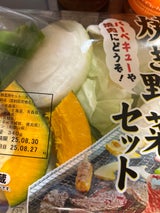 オルト ベジテック 焼き野菜用セット 大