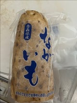 金澤 ながいも 1P