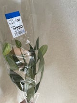 メルシー 切り花380 1P