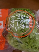 ひむか グリーンレタス 1P
