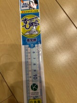 先生おすすめ直定規 APJ93