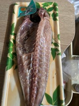 山尾 板あじごま 1P