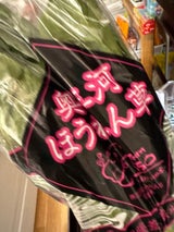 JA愛知東 ホウレンソウ 1P