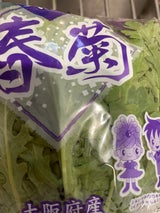 石本 しゅんぎく 1P