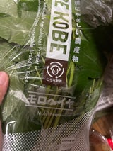 神戸市西農 モロヘイヤ