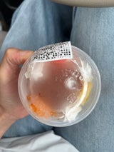 ペットライブラリー プリンパフェ 100g