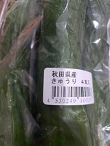 JAこまち きゅうり 4本