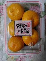 JAビバレッジ佐賀 Hみかんパック 350g