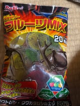 昆虫ゼリー フルーツMIX ワイドカップ 20個