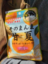 ライオン菓子 そのまんま甘夏 25g（ライオン菓子）の口コミ・レビュー
