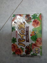 サカモト 箱メモ パイの実