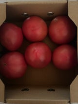 熊果 トマト 1kg