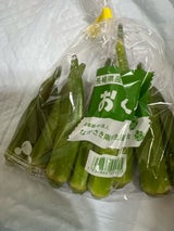 ながさき南部 オクラ 100g
