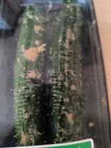 西海 ぬかきゅうり トレー 2本