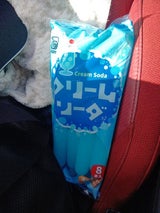 光武製菓 クリームソーダ 504ml