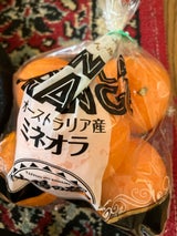 近畿通商 アメリカ産グレープフルーツ 赤 5P