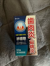 排膿散エキス錠J 63錠