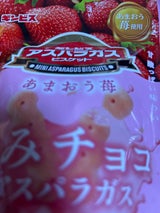 しみチョコミニアスパラガスあまおう苺 42g