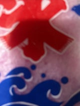 オランダフーズ 袋氷 160g