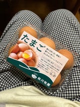 秋川牧園 たまご 6個