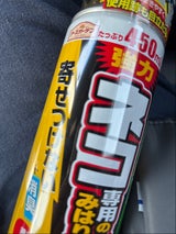 アースG ネコ専用のみはり番スプレー 450ml