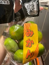 クレド宮崎 日向夏 1P