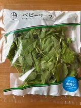 TKF サプリーフ 1P