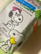 エスカラット 薬用デオドラント パウダーシート ヴァーベナミント 40枚入