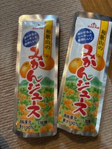 ゴールドP 和歌山のみかんジュース パウチ 80g