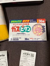 ガスピタン 36錠