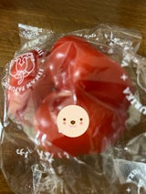 JA雲南 パプリカ 2kg