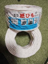 望月 紙紐20号 白