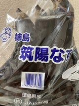 JA徳島 筑陽 長なす