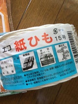 望月 紙ひも 15号 135m