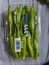 ヤマキ ししとう