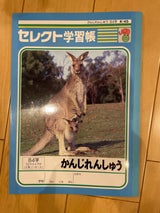 文運堂 学習帳漢字練習 B5