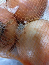 竹原物産 淡路島の極味玉ねぎ