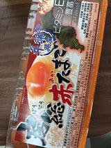 日本農産工業 房総赤たまご 10個