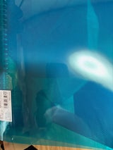 協和 カラーバインダーA4 1P