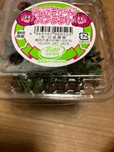 田島農園 レッドキャベツスプラウト