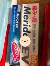 メリドンEV錠 60錠