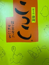 ミホミ こっこ 12個